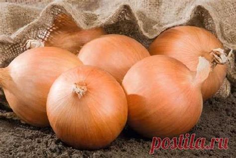 ОТЛИЧНЫЙ РЕЦЕПТ ИЗ ЛУКА ДЛЯ СНИЖЕНИЯ САХАРА В КРОВИ! УЖЕ НЕСКОЛЬКО ЛЕТ ...