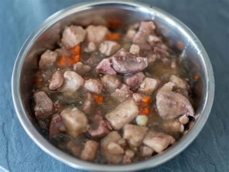 Kibble vs. Homemade Dog Food (Which is Better?) - World of Dogz