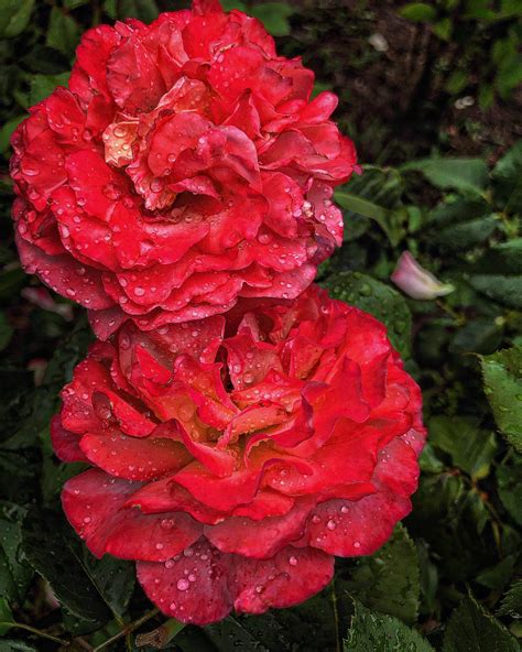 Ksyusha | 🧡🧡🧡🤗🥰🤗 | Instagram