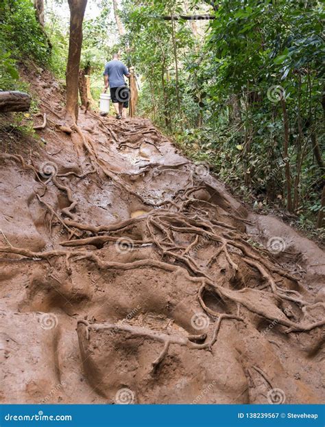 Very Difficult Path To Queens Bath on Coast Near Princeville Kauai