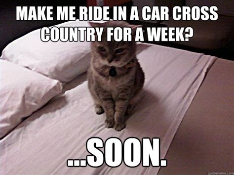 Pissed off cat memes | quickmeme