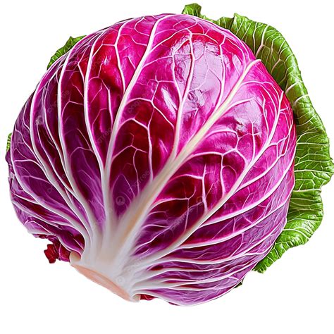 Fresh Head Of Red Radicchio Lettuce With Deep Purple Leaves And White