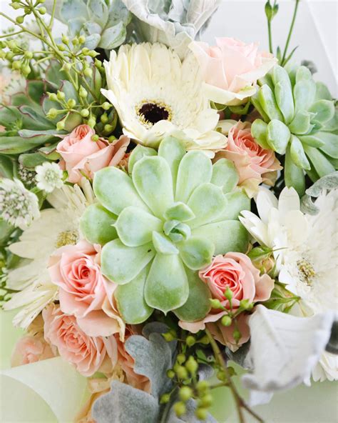 Penelope | Flowers and Kisses