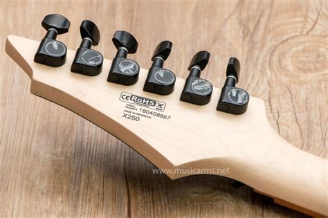 Cort X250 | Music Arms