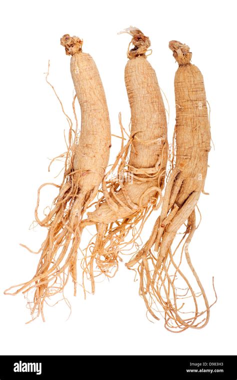 Dried Korean Ginseng Stock Photo - Alamy