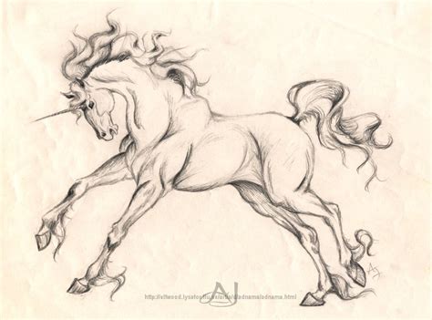 Unicorn | Monster Wiki | FANDOM powered by Wikia