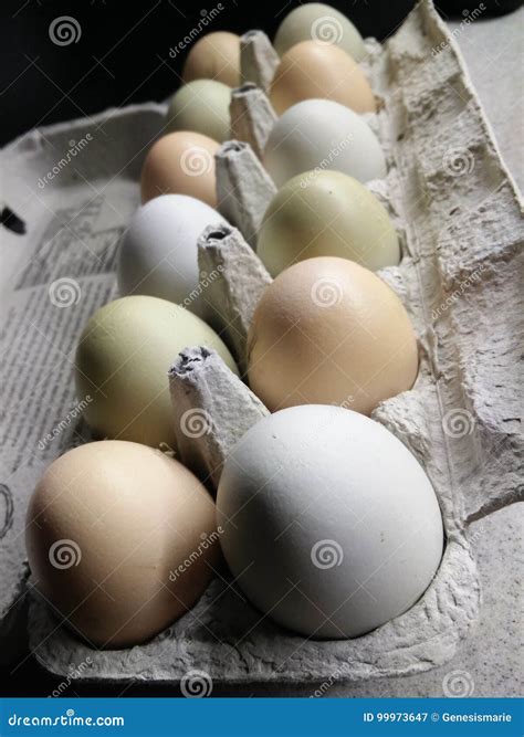 One Dozen Backyard Chicken Eggs Stock Image - Image of organic, hobby ...