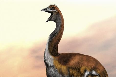 10 Most Amazing Extinct Animal Species - Wonderslist