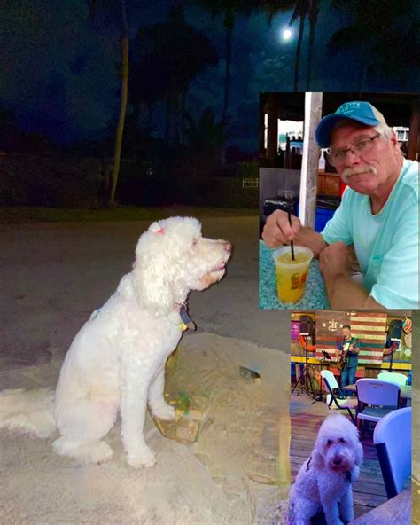 Me: What?! That was so fast! Maple: I know! I didn’t expect J-Lo to