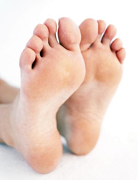 'Feet: Exploring the Function and Care of Our Lower Limbs'