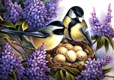 Схема вышивки «синички в гнезде» (№1431582) - Вышивка крестом | Nature ...