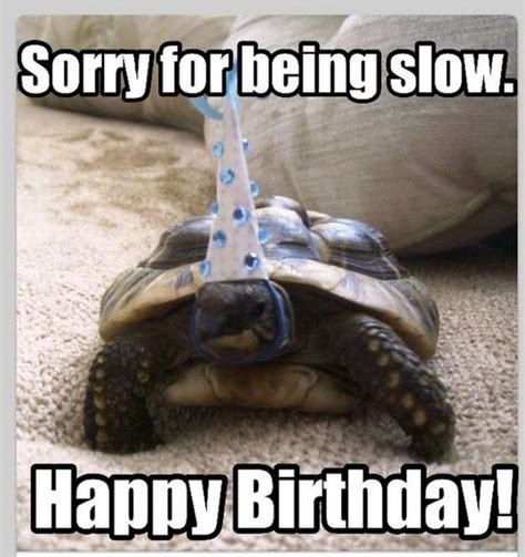 85 Happy Belated Birthday Memes for When You Just Forgot - Winkgo