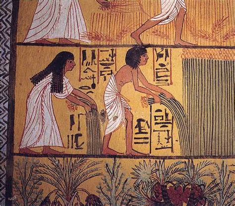 Ancient Egyptian cuisine - Wikiwand