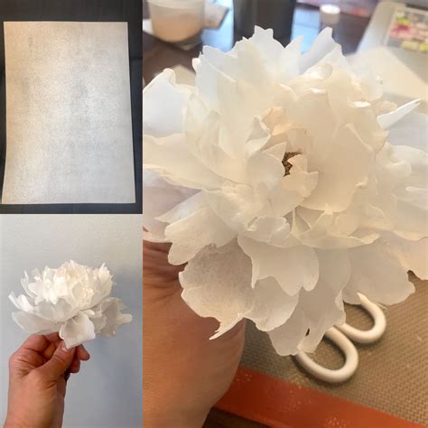Wafer Paper Cakes Modern Cake Designs And Techniques For Wafer Paper Flowers And More 1