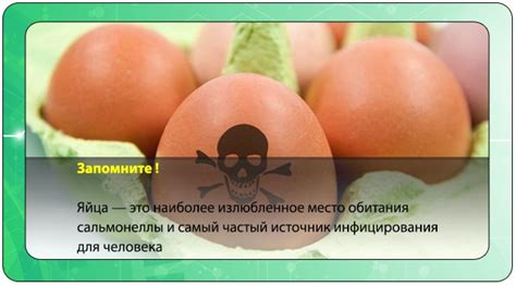 При какой температуре погибает сальмонелла в яйцах и других продуктах