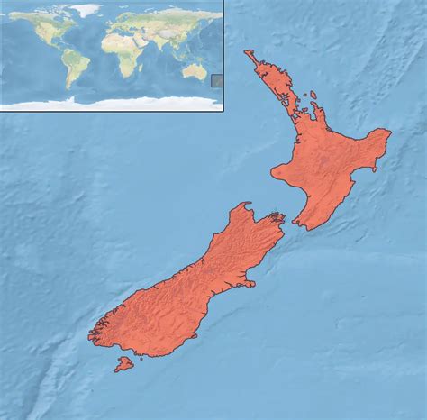 New Zealand scaup - Facts, Diet, Habitat & Pictures on Animalia.bio