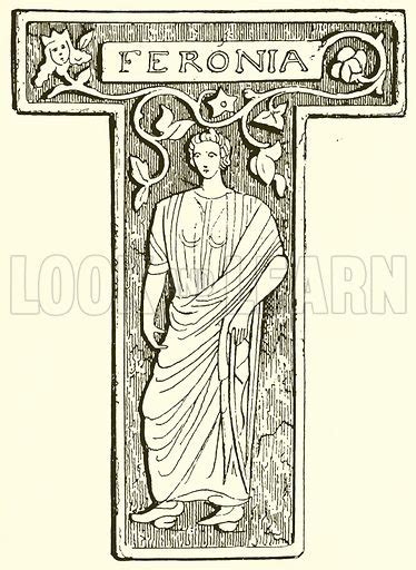 feronia stock image   learn