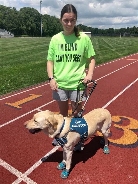 How Does A Blind Dog Know Where To Go at Rae Johnson blog