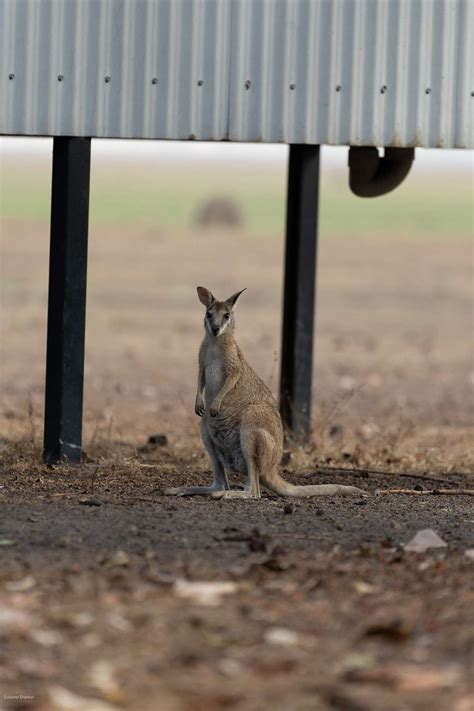 Things to Do in Kakadu - Cultural and Ecotourism Experiences