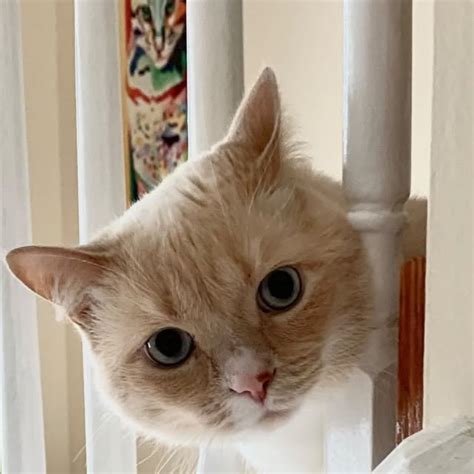 Yes.