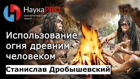 Использование огня древним человеком | Лекции по антропологии ...