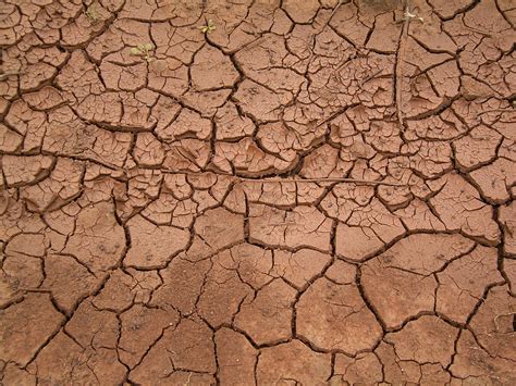 Mud Background