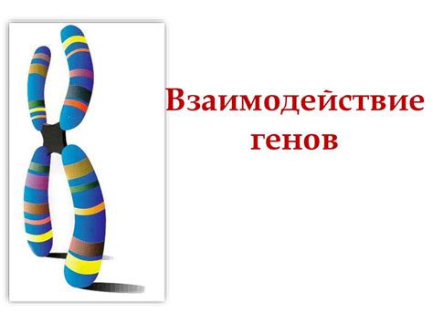 Взаимодействие генов - презентация онлайн