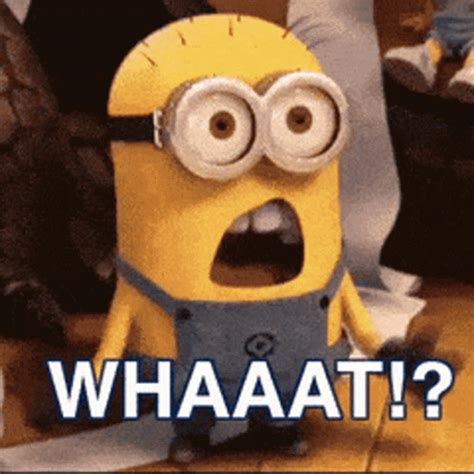 Whaat Huh GIF - Whaat Huh Minion - Discover & Share GIFs