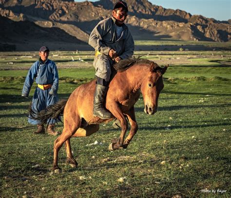 ФОТО: Эрийн хийморь