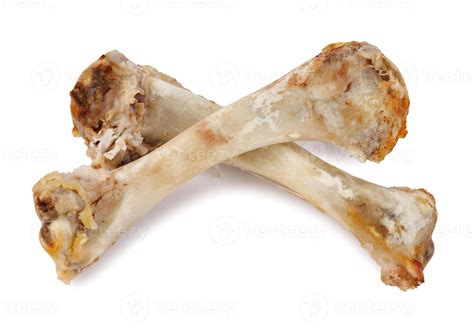 turkey bones isolated   white background turkey wing bone