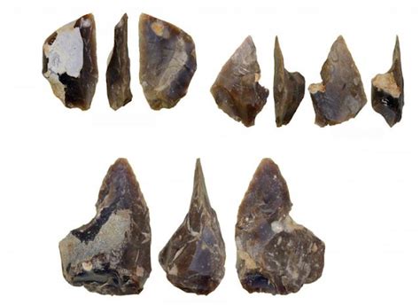 Neanderthal flint knapping site discovered in the southern Poland ...