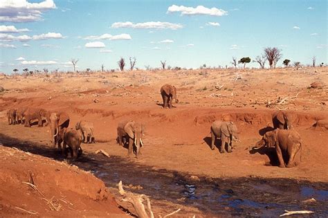 The end of the East African drought - The Spectator World