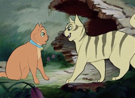 firestar on Tumblr