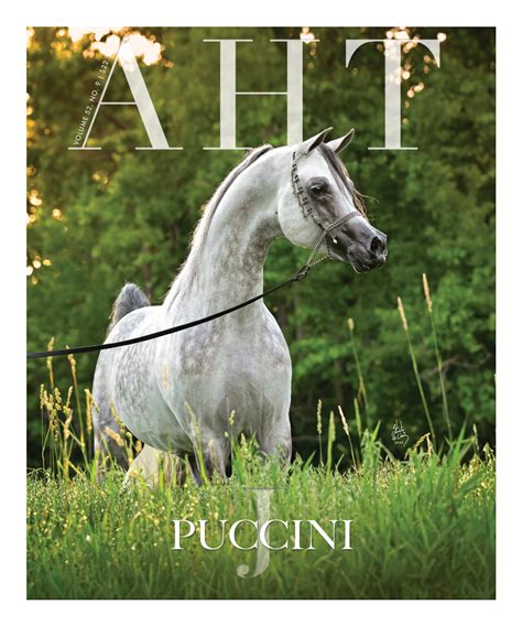 Arabian Horse Times Vol. 52, No. 9 - August 2022 by Arabian Horse Times