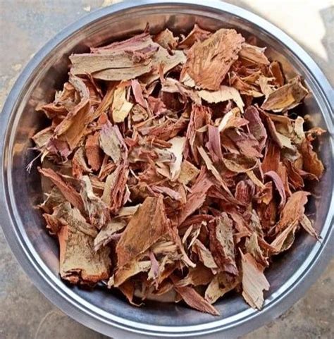 Natural Arjun Ki Chaal, Packaging Type: Bag, Packaging Size: 50kg at Rs ...