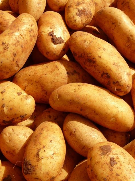Картинки Русской Картошки – Telegraph