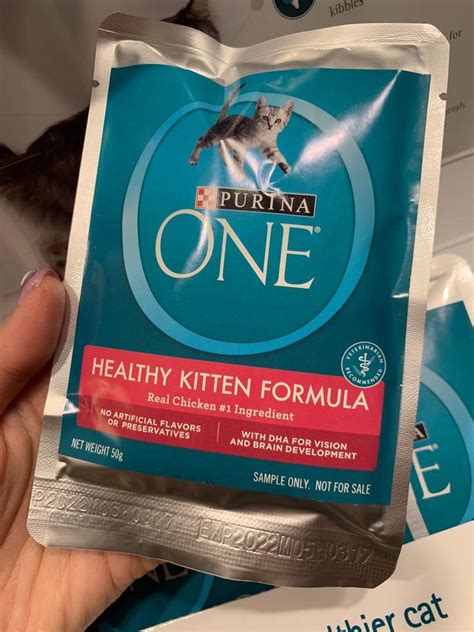Purina One Kibbles for Cat/Kitten (Premium Dry Cat Food), Pet Supplies ...