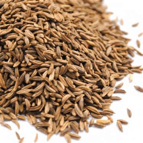 Caraway seed – Gandhi