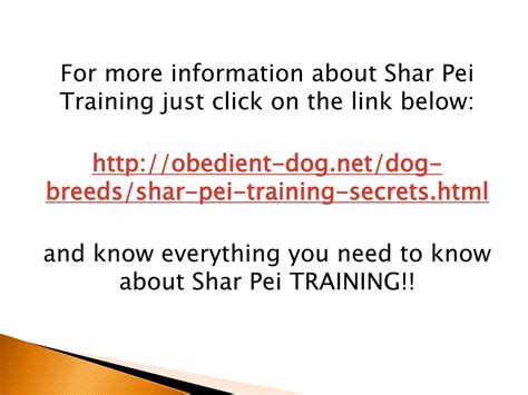 PPT - Shar Pei Training PowerPoint Presentation, free download - ID:1015120