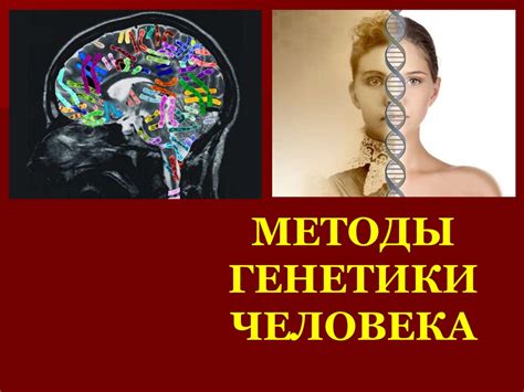Методы генетики человека - презентация онлайн