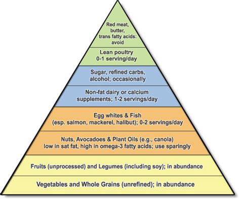 what your food pyramid should look like - You do not have a life. You ...