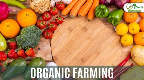 top  organic farming companies   world  hayley hargreaves blog