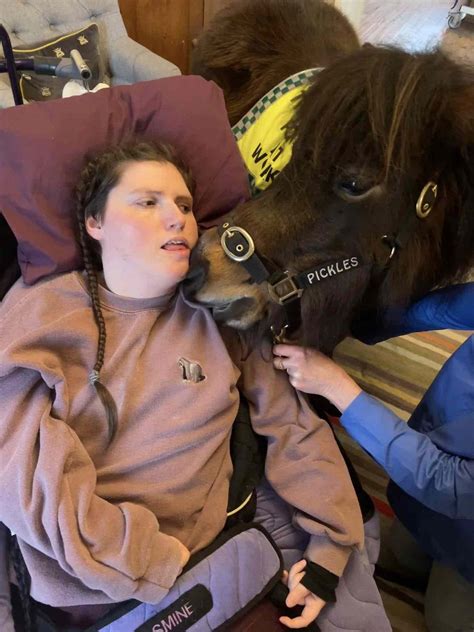 Pixie and Pickles Adventures | Therapy Ponies