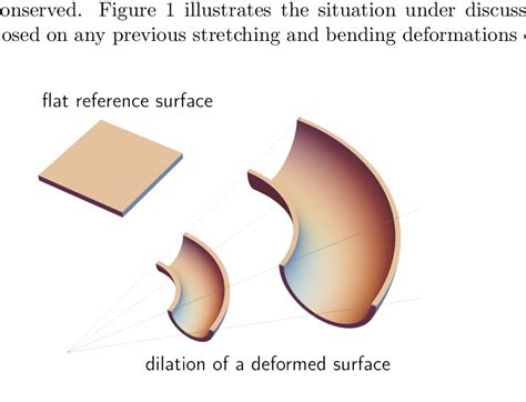 schematic   dilation   deformed surface  reference