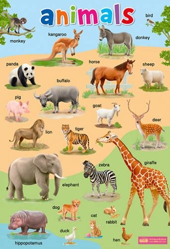 โปสเตอร์พลาสติก Animals