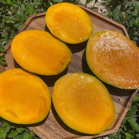 Carrie Mango Box *Pre-Order* – Miami Fruit