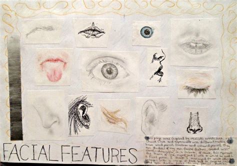 GCSE ART YEAR 10: Facial Features by DaintyStain on DeviantArt