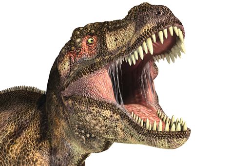 How do we know dinosaurs roared? Were there any dinosaurs that might ...