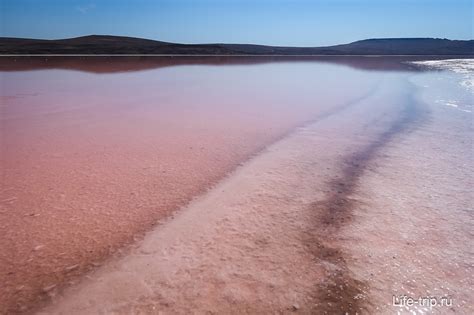 Розовое Кояшское озеро в Крыму, где находится на карте, фото