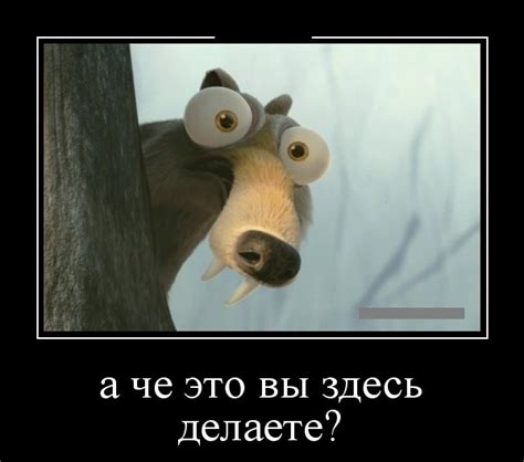 Картинки «Вы здесь?» (25+ шт.) • Прикольные и красивые картинки